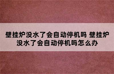 壁挂炉没水了会自动停机吗 壁挂炉没水了会自动停机吗怎么办